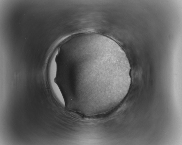 X0000088090200200706081757