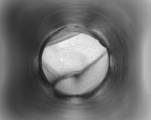 X0000088090204200706081757