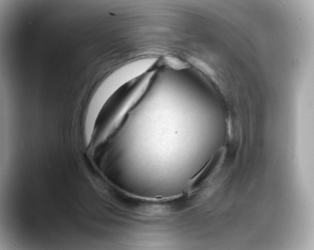 X0000088090205200706081757