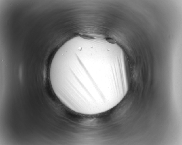 X0000088090206200706081757