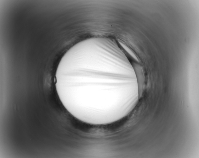 X0000088090211200706081756