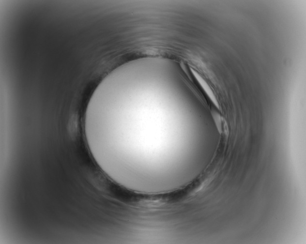 X0000088090213200706081756
