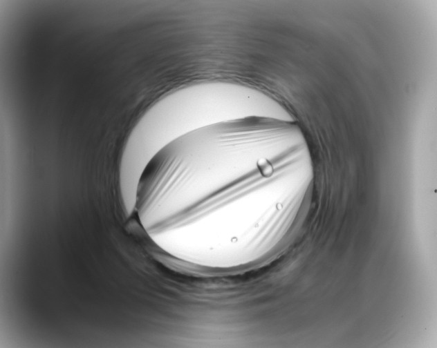 X0000088090215200706081756