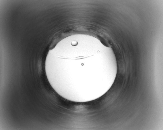 X0000088090216200706081756