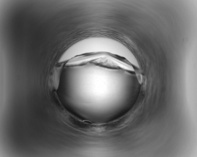 X0000088090217200706081756