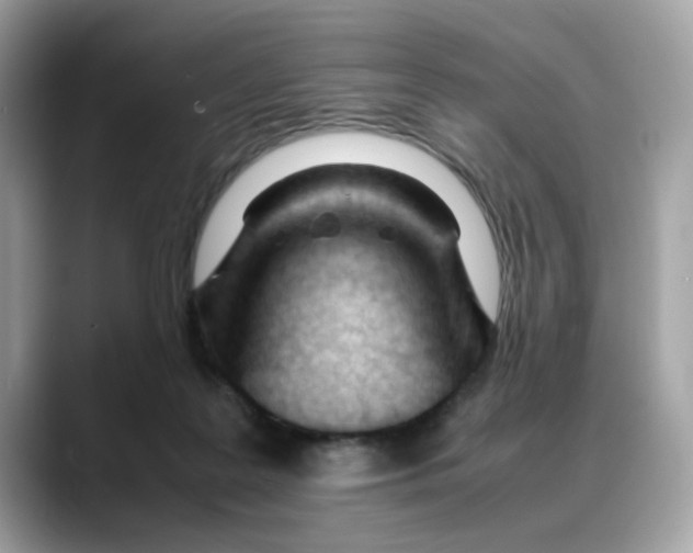 X0000088090219200706081756