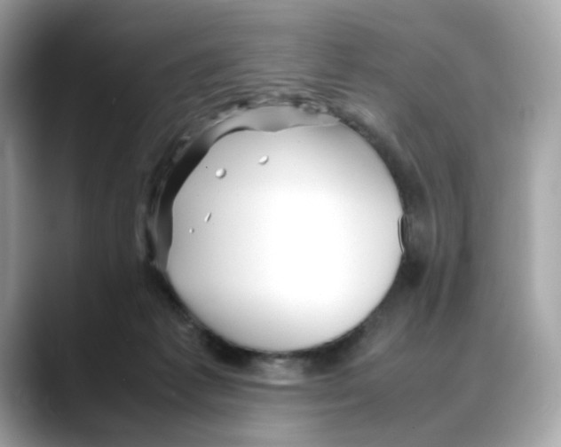X0000088090221200706081756