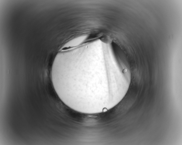 X0000088090222200706081756