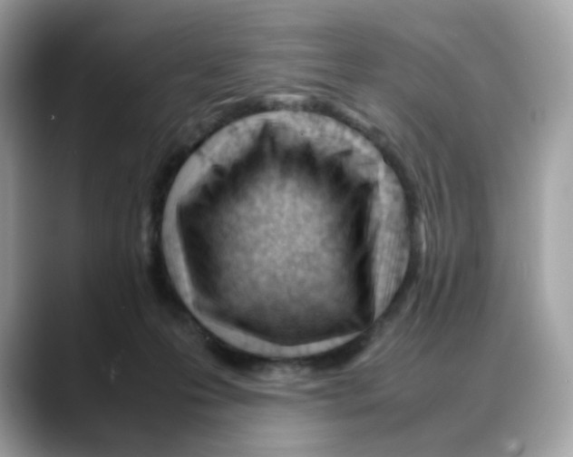 X0000088090223200706081756