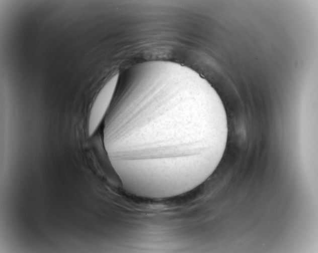 X0000088090224200706081756