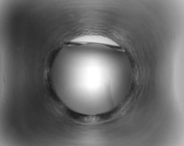 X0000088090225200706081756