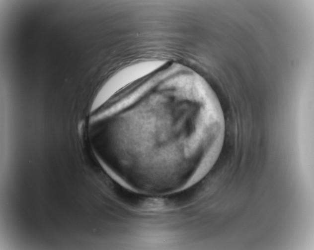 X0000088090227200706081756