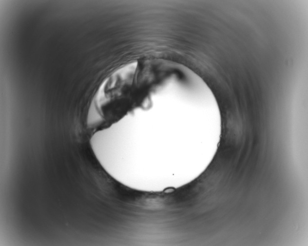 X0000088090228200706081756
