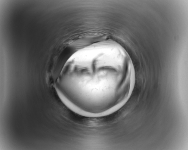 X0000088090229200706081756