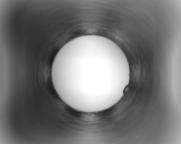 X0000088090230200706081756