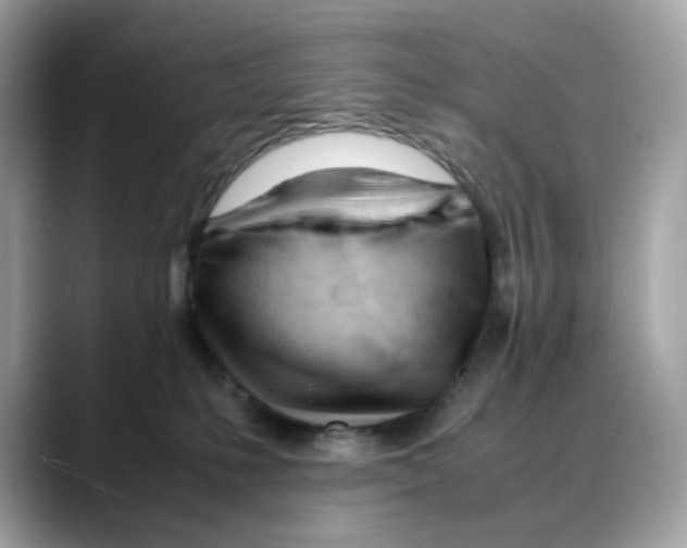 X0000088090231200706081756
