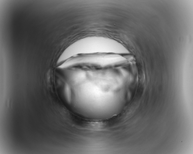 X0000088090233200706081756