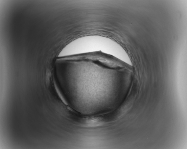 X0000088090235200706081756