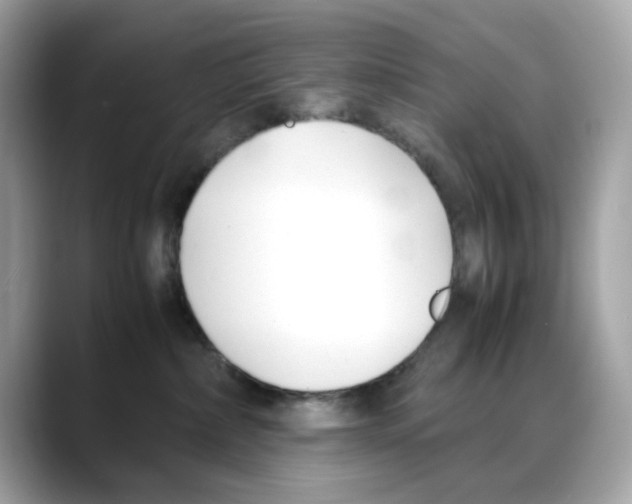 X0000088090236200706081756