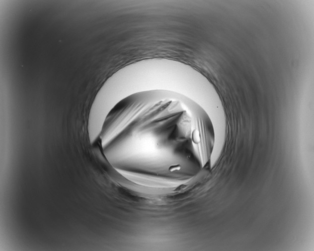 X0000088090237200706081756