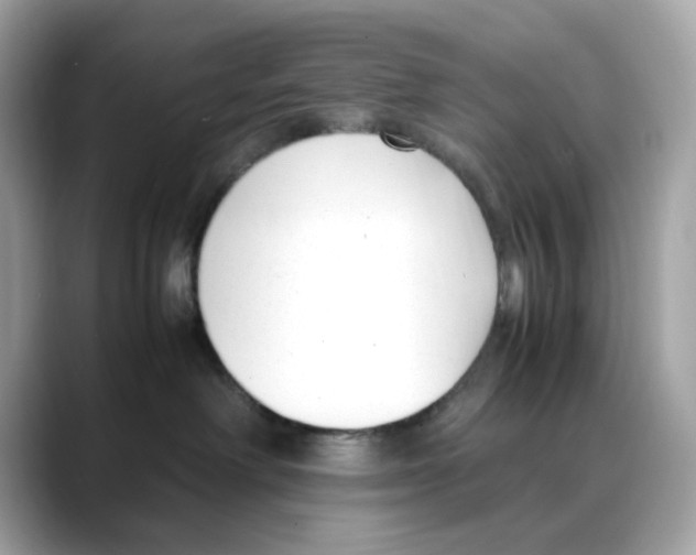 X0000088090238200706081756