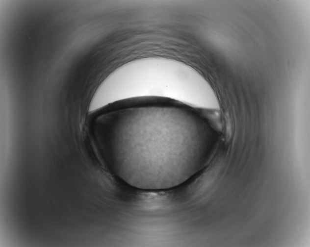 X0000088090239200706081756