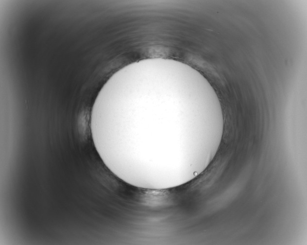 X0000088090240200706081756