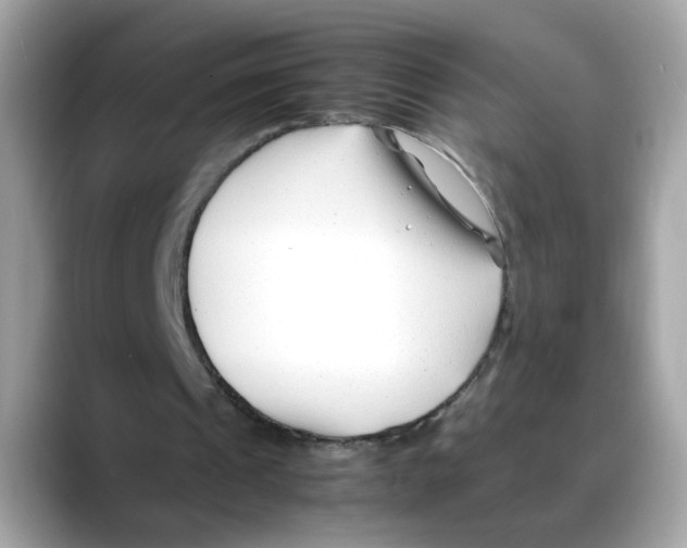 X0000088090241200706081755