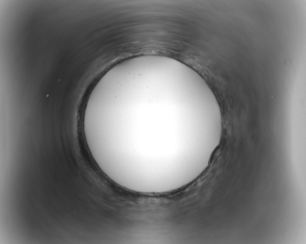 X0000088090242200706081756