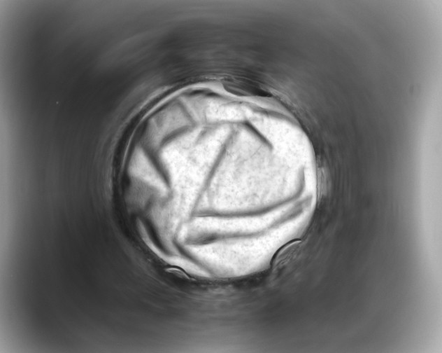 X0000088090243200706081756