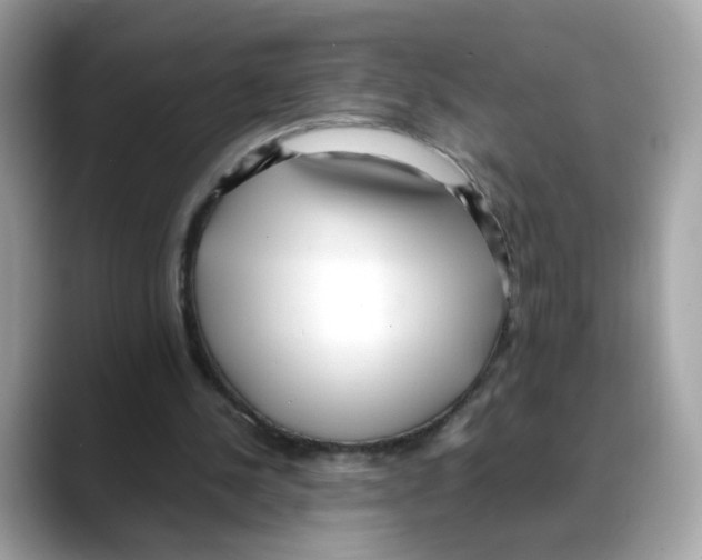X0000088090244200706081756