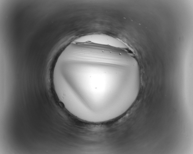 X0000088090245200706081756