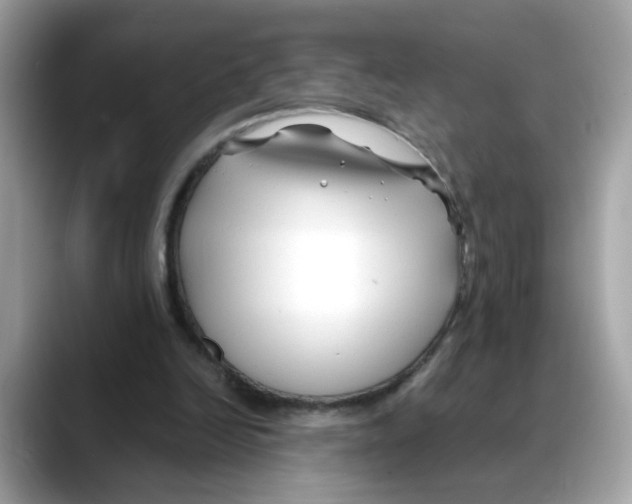 X0000088090246200706081756