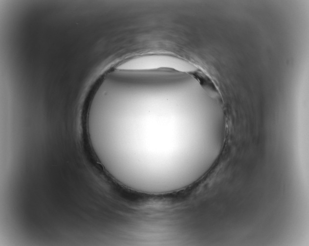 X0000088090248200706081756