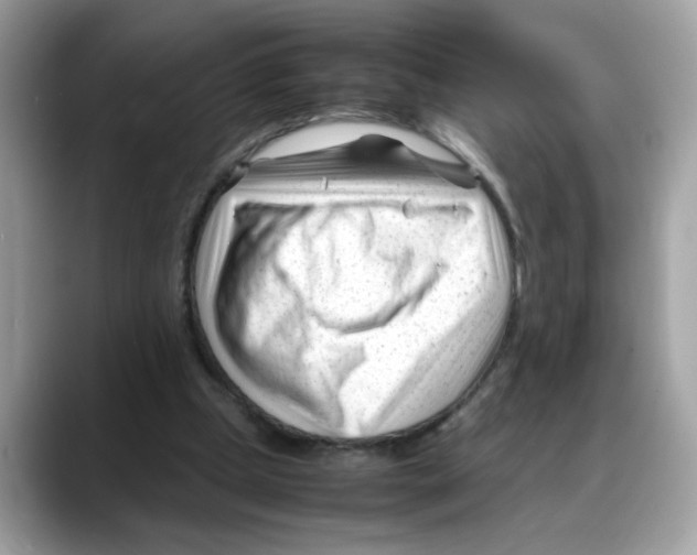 X0000088090249200706081756