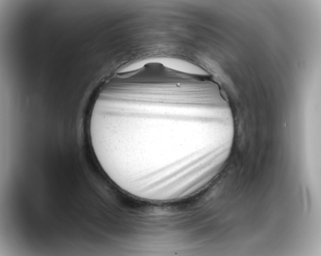 X0000088090250200706081756