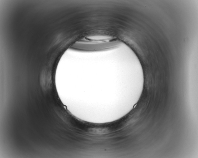 X0000088090251200706081756