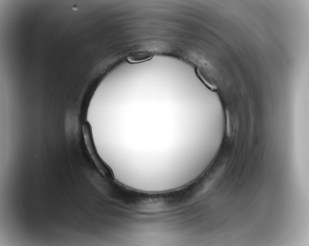X0000088090252200706081756