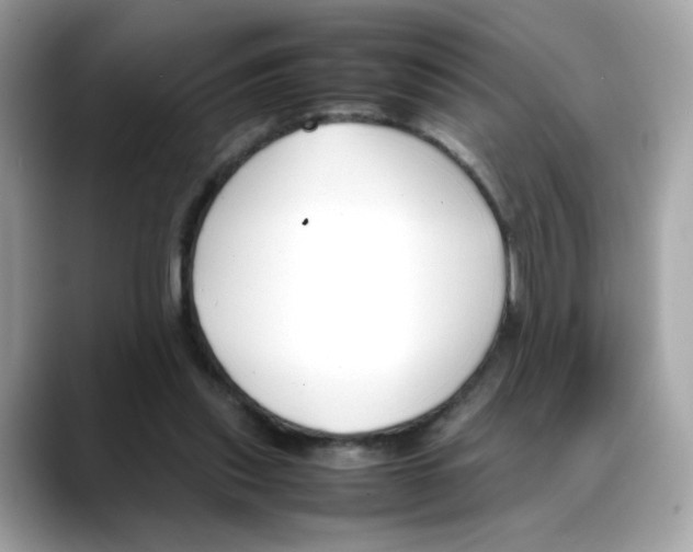 X0000088090253200706081756