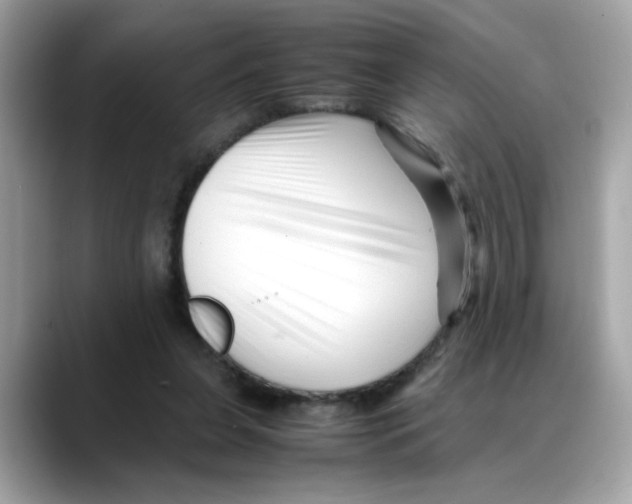 X0000088090255200706081756