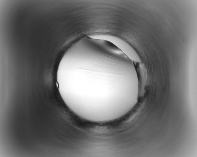 X0000088090256200706081756