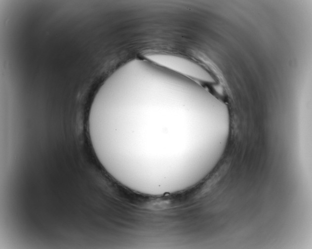 X0000088090257200706081756