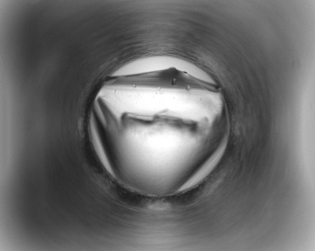 X0000088090258200706081756