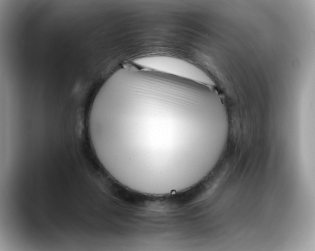 X0000088090259200706081756
