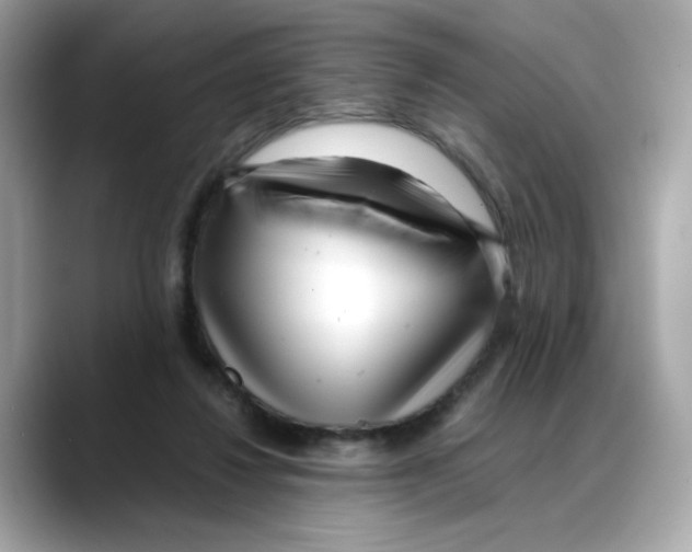 X0000088090260200706081756