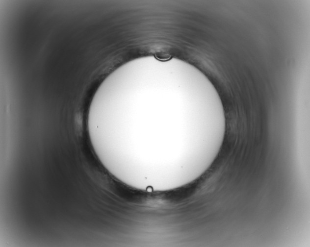 X0000088090262200706081756