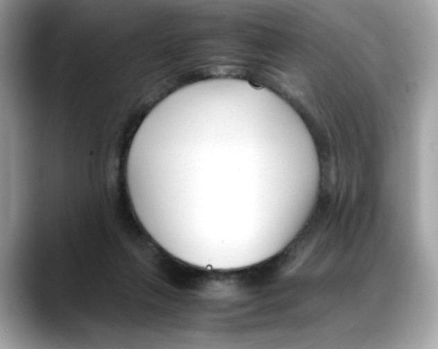 X0000088090263200706081756