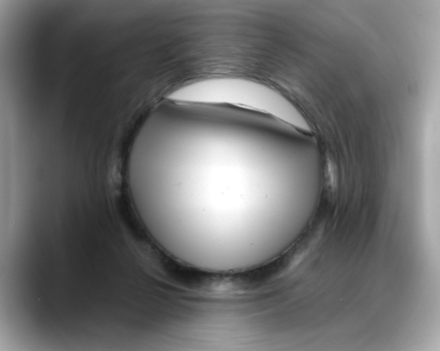 X0000088090264200706081756