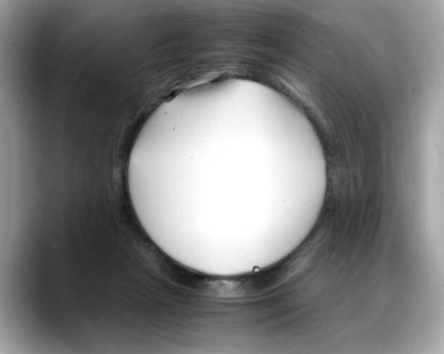X0000088090265200706081756