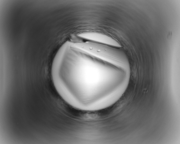 X0000088090270200706081756